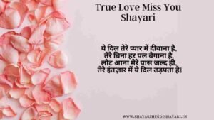 True Love Miss You Shayari